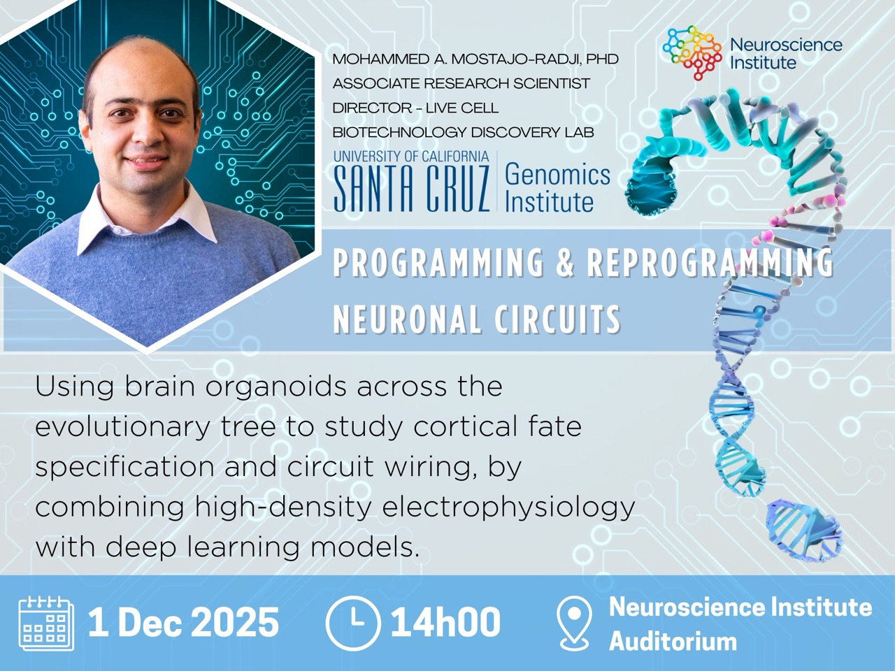 neuronal circuits talk