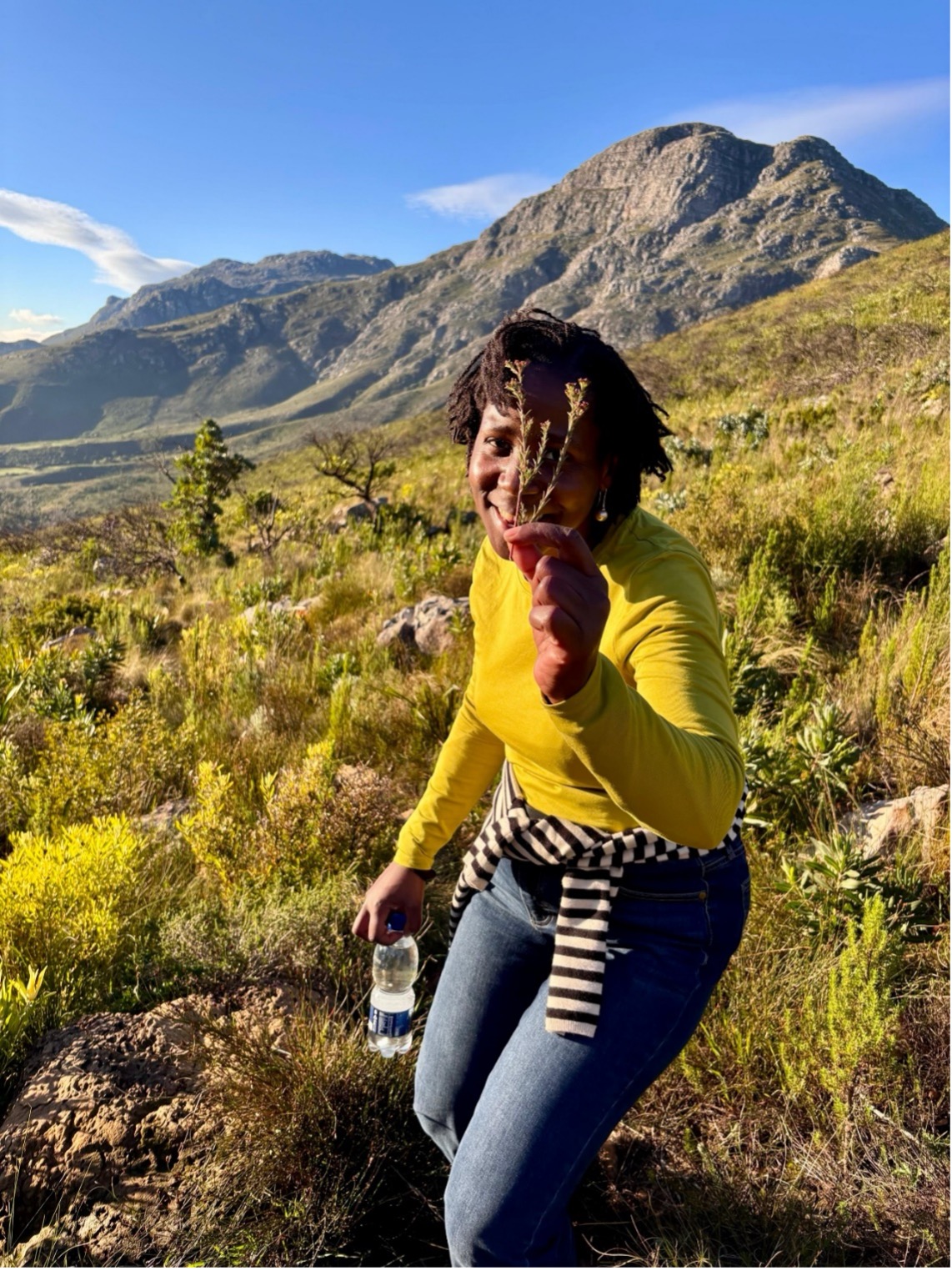 Dr Anastacia Omoding, Paediatric MPhil Fellow, showcasing the holistic benefits of fynbos encountered during the sunset hike.
