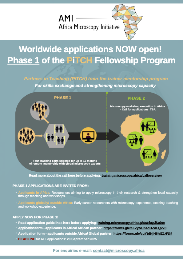 pitch-fellowship-program