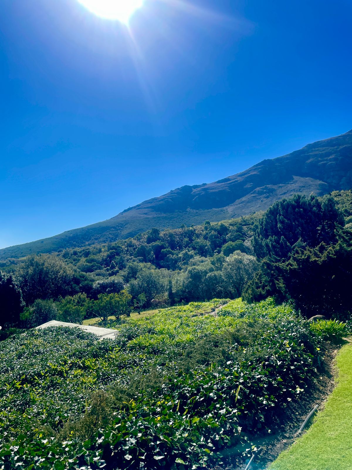 Blaauwklippen Valley at Mont Fleur, Stellenbosch