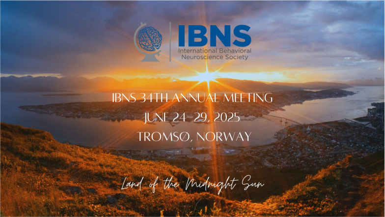 IBNS