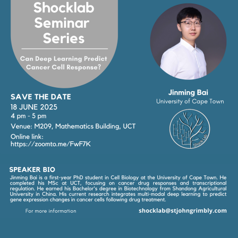 shocklab