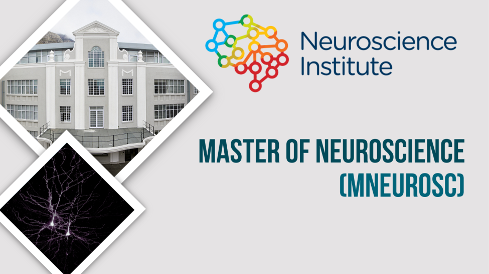MNeuroSc