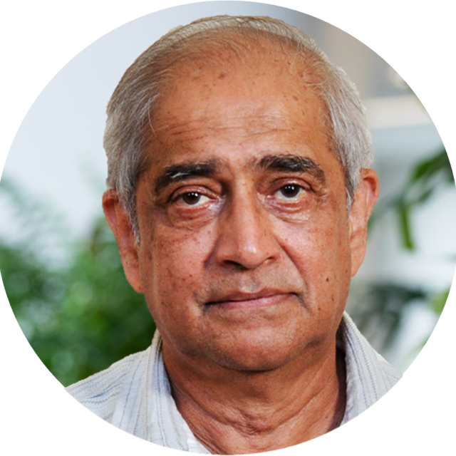 Professor Anwar Mall