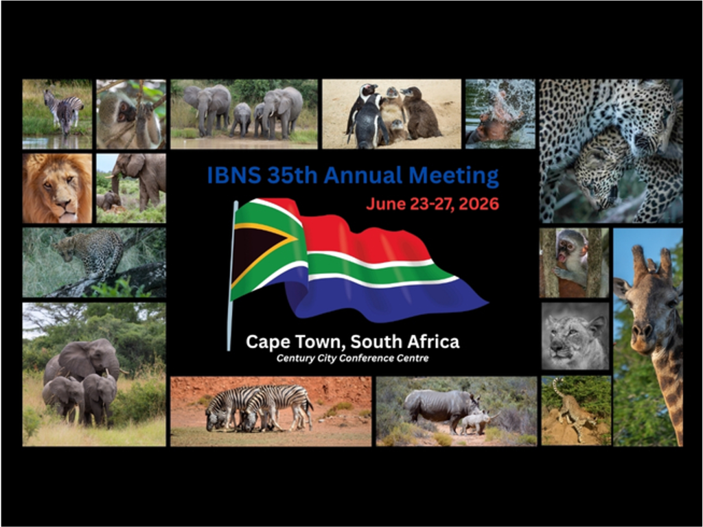 IBNS 2026