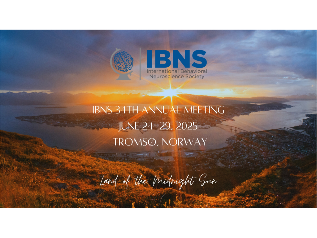 IBNS