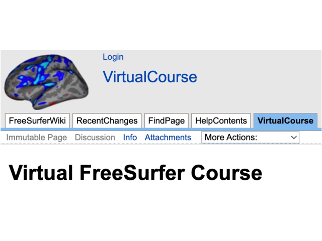 Virtual FreeSurfer Course | Neuroscience Institute