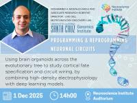 neuronal circuits talk0