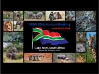IBNS 2026