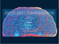 stem cell conference