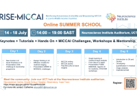 uct-local-hubs-flyer-summer-school